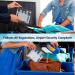 TSA Approved Clear Liquids Bag Set | 4PC Airport Security Toiletry Bags | Waterproof, 20X20 cm | Travel Essential for Men and Women - Buy Online on GoSupps.com