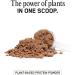 Bare Performance Nutrition Vegan Peanut Butter Cookie Protein - Plant Based Pea Protein, Watermelon and Pumpkin Blend, Naturally Sweetened (27 Servings) - Buy Online on GoSupps.com