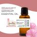 GreenHealth Geranium Essential Oil 1/3 fl oz (10 ml) Glass Bottle 100% Pure - Buy Online on GoSupps.com