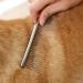3 Pack Pet Combs Stainless Steel - Wide Tooth & Dense Tooth Comb for Cats and Dogs - Flea Comb Included - Dog Grooming Essential - Silver - Buy Online on GoSupps.com