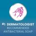Hibiclens Antimicrobial Soap 8 oz Foaming Pump | Antiseptic Skin Cleanser for Home & Hospital | 4% CHG International Shipping Available - Buy Online on GoSupps.com