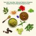 Radico ORGANIC METHI 100% Naturel BIO Organic Vegan Croissance des Cheveux Anti-Perte Anti-Vieillissement Care Volume Poudre Nourrissante Masque Cheveux et Shampoing 2 en 1 avec ECOCERT HALAL - Buy Online on GoSupps.com
