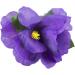 Hula Girl Hibiscus Flower Hair Clips - 12 Pack, Assorted Colors, Perfect for Events & Decor - Buy Online on GoSupps.com