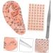 Hemoton 2 Sets Auricular Tools Model Kits - Ear Pressure Relief Magnetic Beads Stickers - Disposable Silicone Pe Aluminum Alloy Press Paste - Buy Online on GoSupps.com
