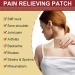 Pain Relieving Chinese Tiger Patch for Shoulder, Back, Knee, Joint & Muscle - 10 PCS - Buy Online on GoSupps.com