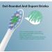 Helalkit 10 Pack Replacement Toothbrush Heads | Compatible with Philips Sonicare Electric Brushes | 10 Pack Green - Buy Online on GoSupps.com