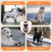 Eyin Dog Shoes - Water-Repellent Paw Protection for All Sizes | Non-Slip Sole & Reflective Velcro Fastener | 4 Pieces for Outdoor Sports - Buy Online on GoSupps.com