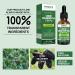 Chlorophyll Liquid Drops - Natural Energy Booster & Immune Support - Internal Deodorant & Detox - Fast Absorption - Vegan & Non-GMO - 120 Servings - 6000MG - Buy Online on GoSupps.com
