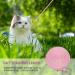 Pink Cat Cable Out Leash 26ft | Escape Proof Reflective Walking Lead for Puppy, Kitten, Rabbits | Durable Outdoor Training Control - Buy Online on GoSupps.com