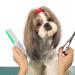 Premium Stainless Steel Dog & Cat Comb - Flea Comb for All Hair Types (Green) - Perfect for Short Medium & Long Hair Pets - Buy Online on GoSupps.com