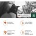 Dry Cat Food - Chicken Recipe - No Corn or Soy - Protein Rich - Kitten Food - Adult Cat Food by Lily & Jax - Chicken 6.4 kg (4 x 1.6 kg) Chicken 1.6 kg (Pack of 4) - Buy Online on GoSupps.com