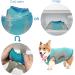 XXL Green Dog Cooling Vest - Breathable Mesh Jacket for Small to Medium Dogs | Summer Cool & Convenient with Reflector Strips - Buy Online on GoSupps.com