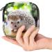 Menstrual Pad Bag with Zipper | Cute Hedgehog Ladies Napkin & Tampons Pouch - Shop Now! - Buy Online on GoSupps.com
