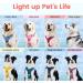 Pawaii Dog Harness for Small Dogs - Anti-Pull Reflective No-Choke Breast Harness with Handle (XS Orchid Purple) - Perfect Fit for Comfort - Buy Online on GoSupps.com