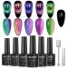 MIZHSE 9D Cat Eye Gel Nail Polish Magnetic Cat Eye Gel Nail Polish Magnetic Gel Nail Polish with Chameleon Magic Effect 10ml with 2 Magnet Stick Gel Nail Polish Set (9D Collection 1) 9D Cat Eye 6Pcs