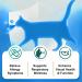 Lysine for Cats - 4.23 oz Immune System Support Allergy Relief Respiratory & Eye Health Salmon-Flavored Cat Supplement - Buy Online on GoSupps.com