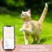 Lafayi 2 Pack Cat Collar with Bell & Reflective GPS Tracker | Personalized Pink Airtag Case & Safety Clasp | International Shipping Available - Buy Online on GoSupps.com