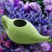 2activelife Ceramic Neti Pot for Nasal Rinse Yoga Jal Neti Pot Sinus & Congestion Relief 225ml Capacity Freckle Green Pattern Durable Leak-Proof Dishwasher Safe - Buy Online on GoSupps.com