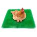 PINVNBY 8 PCS Chicken Nest Box Pads,Hen Nest Plastic Washable Reusable Poultry Egg Laying Nest Box Liners Durable Comfortable Ducks Supplies Chicken Coops Accessories Bedding GREEN