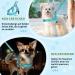 Eyein No-Pull Dog Harness & Leash | Soft Padded Reflective Adjustable for Puppies & Small to Large Dogs | Blue-Green XS - International Shipping - Buy Online on GoSupps.com