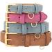 Beirui Soft Padded Leather Dog Collar - Comfortable & Durable for All Sizes | Pink XL (Neck 41-53 cm) with High-Quality Alloy Fittings - Buy Online on GoSupps.com