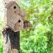 Esenlong Wooden Bird House - Garden Novelty Nesting Box for Birds - Eco-Friendly Sustainable Forests - Ideal for Outdoors, Trees, or Balconies - Buy Online on GoSupps.com