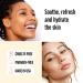 VALJEAN LABS Face Mist Calm - Hydrating Rosewater + Glycerin | Soothes & Evens Complexion | Paraben & Cruelty Free | 8 oz Made in USA - Buy Online on GoSupps.com