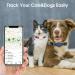 Simplethings Waterproof AirTag Dog Collar - Anti-Loss Silicone Holder for Cats & Dogs - Compatible with Apple AirTag GPS Tracker - Black S-12mm - Buy Online on GoSupps.com