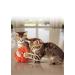KONG Softies Patchwork Bear Cat Toy (Assorted Designs) - Buy Online on GoSupps.com