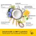 Beesline Organic Lip Balm Peppermint | Nourishing Beeswax Formula for Dry Lips | High-Quality Beegan Lip Care - Buy Online on GoSupps.com
