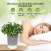 Essential Oil Diffuser for Home | Aromatherapy Humidifier with Timers 7 Colors Night Light & Quiet Operation | Waterless Auto-Off | Four Leaf Clover Design - Buy Online on GoSupps.com
