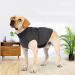 Felenny Dog Anxiety Vest Breathable Soft Clothes Wrap Shirt Relief Calming Coat for Small Medium Large Dogs XXL - Buy Online on GoSupps.com
