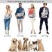 Shop Cuby Pet Application Sling for Small Dogs & Cats - Safe Adjustable Breathable Travel Carrier | Gray (L 27 x W 8 x H 30 cm) - Buy Online on GoSupps.com