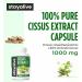STAY ALIVE Cissus Quadrangularis Supplement 1000mg, 120 Pills, Pure Extract Powder with 40% Ketosterones, Non-GMO and Gluten-Free Cissus Extract Capsules for Men and Women - Buy Online on GoSupps.com
