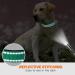 Shop Taglory Adjustable Neoprene Dog Collar - Soft Reflective & Durable for Medium Dogs - Turquoise M (1 Pack) - Buy Online on GoSupps.com