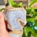 190g Natural Raw Blue Lace Agate Rough Stones Crystal Minerals and Stones Rough Gemstones Original Specimen for Home Decor Gifts Full of Texture (Size : 140-190g) - Buy Online on GoSupps.com