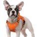 Rabbitgoo dog harness Small dogs anti -train crockery dog adjustable with handles widened robust and wear -resistant tactical dog harness with metal buckles for hiking (S Orange) S (1 Pack) Orange