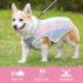 Kuoser Cool Vest for Dogs | Adjustable Reflective Cooling Vest for Summer | XXL Gray & Pink - Perfect for Hiking & Outdoor Activities - Buy Online on GoSupps.com