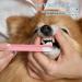 3 Pack Cat Toothbrushes Dog Toothbrush Pet Deep Clean Dense Brush Pet Toothbrush with Ultra Soft Bristles Dental Cleaning Brushes for Puppy Small Dog and Cat - Buy Online on GoSupps.com