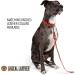 Logical Leather 6FT Braided Dog Leash - Heavy Duty Full Grain Leather Lead in Red - Buy Online on GoSupps.com