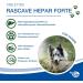 Nutrilabs Rascave Hepar Forte Tablets for Dogs - 90 pcs Liver Support B Vitamins & Dietary Supplements for Optimal Canine Health - Buy Online on GoSupps.com