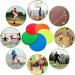 Kai Xin 9 Inch Anti-Slip Agility Spot Markers Set - 10 Pcs | Indoor Outdoor Sports Training & Drills | Multicolor - Buy Online on GoSupps.com