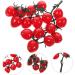 Abaodam String Simulated cherry tomatoes fruit photography props simulated tomatoes fake apples faux yellow home decor Decorative Cherry Tomatoes Photo Props child pvc vegetable fake food Red 18X16CM - Buy Online on GoSupps.com