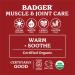 Badger Company Sore Muscle Rub â€“ Cayenne & Ginger 0.75 oz | Natural Pain Relief - Buy Online on GoSupps.com