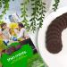 Buy Girl Scout Thin Mints Cookies â€“ 32 Count Box | Delicious Mint Chocolate Treats - Buy Online on GoSupps.com