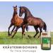 Supravit Bronchial Herbs for Horses | 1000ml Liquid Herbal Mixture | Supports Airway Health with 14 Natural Ingredients - Buy Online on GoSupps.com