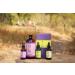 C60 Purple Power Organic MCT Coconut Oil - 4 oz | Cold-Pressed and 99.99% Pure C60 Carbon Fullerenes - Buy Online on GoSupps.com