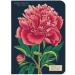 Shop Botany Mini Notebooks | Stylish Eco-Friendly & International Shipping - Buy Online on GoSupps.com