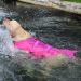 Cit toile Dogs Hoi Life Jacket - Pink Mermaid Tail Vest for Small Medium & Large Dogs | Dog Lifeguard Swim Safety - Buy Online on GoSupps.com