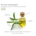 GIOVANNI Root 66 Max Volume Hair Root Lifting Spray 8.5 oz. (Pack of 3) - For Thin Fine Hair - No Parabens, Color Safe - Buy Online on GoSupps.com
